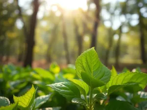 Czy łuszczyca można się zarazić? Odpowiada ekspert medyczny